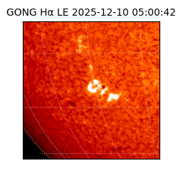 gong - 2025-12-10T05:00:42