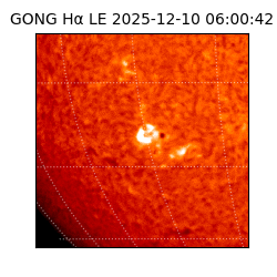 gong - 2025-12-10T06:00:42