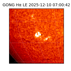 gong - 2025-12-10T07:00:42