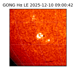 gong - 2025-12-10T09:00:42