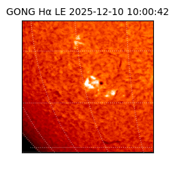 gong - 2025-12-10T10:00:42