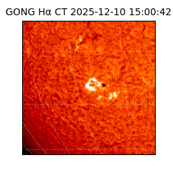 gong - 2025-12-10T15:00:42