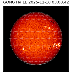 gong - 2025-12-10T03:00:42
