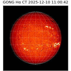 gong - 2025-12-10T11:00:42