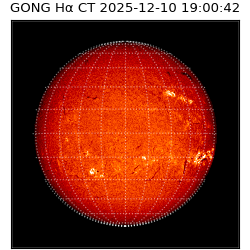 gong - 2025-12-10T19:00:42