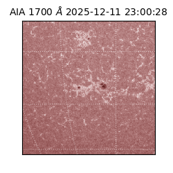 saia - 2025-12-11T23:00:28.717000