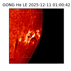 gong - 2025-12-11T01:00:42