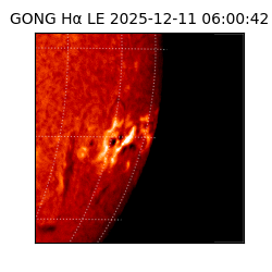 gong - 2025-12-11T06:00:42