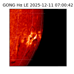 gong - 2025-12-11T07:00:42