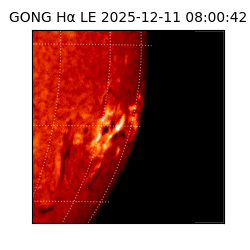 gong - 2025-12-11T08:00:42