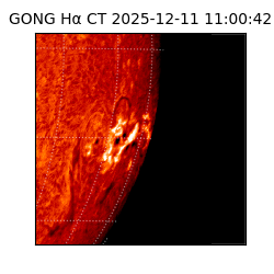 gong - 2025-12-11T11:00:42