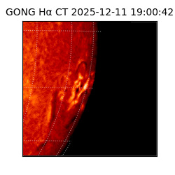 gong - 2025-12-11T19:00:42