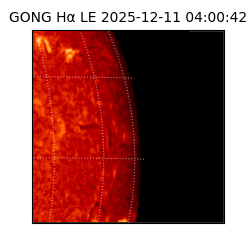 gong - 2025-12-11T04:00:42