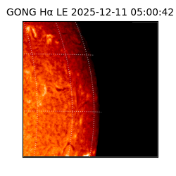 gong - 2025-12-11T05:00:42