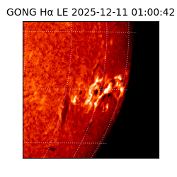 gong - 2025-12-11T01:00:42