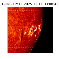 gong - 2025-12-11T03:00:42