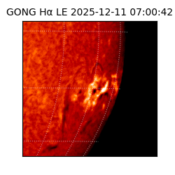 gong - 2025-12-11T07:00:42