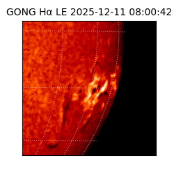 gong - 2025-12-11T08:00:42