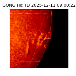 gong - 2025-12-11T09:00:22