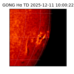 gong - 2025-12-11T10:00:22
