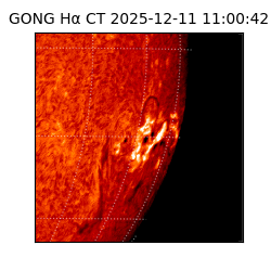 gong - 2025-12-11T11:00:42