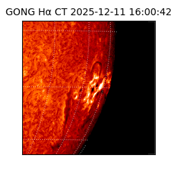gong - 2025-12-11T16:00:42