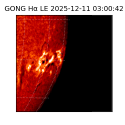gong - 2025-12-11T03:00:42