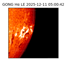 gong - 2025-12-11T05:00:42