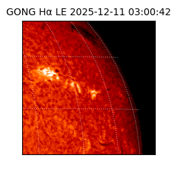 gong - 2025-12-11T03:00:42
