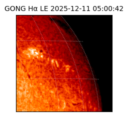 gong - 2025-12-11T05:00:42