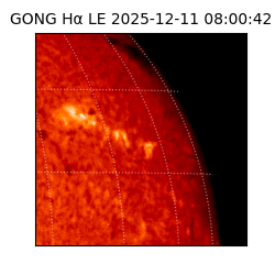 gong - 2025-12-11T08:00:42