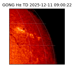 gong - 2025-12-11T09:00:22