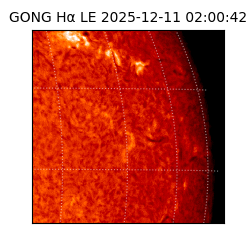 gong - 2025-12-11T02:00:42