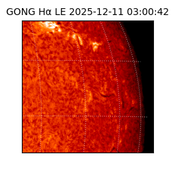 gong - 2025-12-11T03:00:42