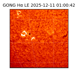 gong - 2025-12-11T01:00:42