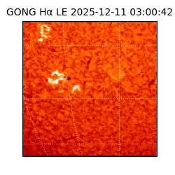 gong - 2025-12-11T03:00:42