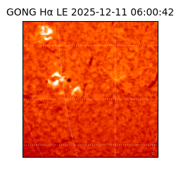 gong - 2025-12-11T06:00:42