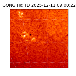 gong - 2025-12-11T09:00:22