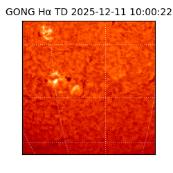 gong - 2025-12-11T10:00:22