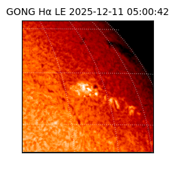 gong - 2025-12-11T05:00:42