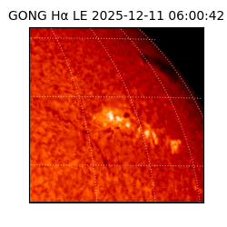 gong - 2025-12-11T06:00:42