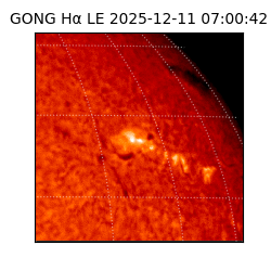 gong - 2025-12-11T07:00:42