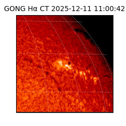 gong - 2025-12-11T11:00:42