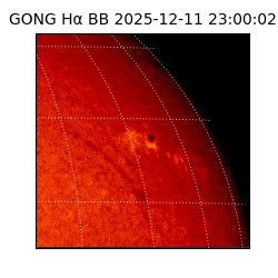 gong - 2025-12-11T23:00:02