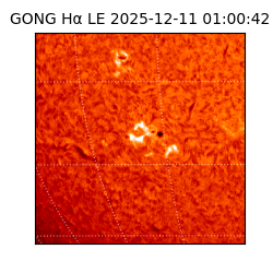 gong - 2025-12-11T01:00:42