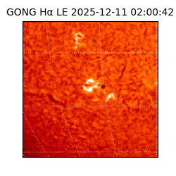 gong - 2025-12-11T02:00:42