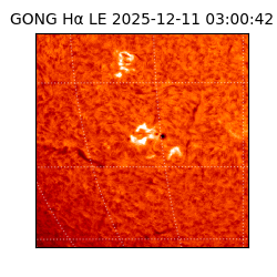 gong - 2025-12-11T03:00:42