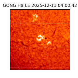 gong - 2025-12-11T04:00:42