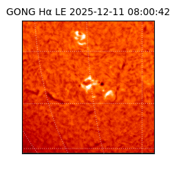 gong - 2025-12-11T08:00:42