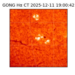 gong - 2025-12-11T19:00:42